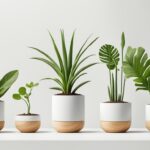 Modern Minimalism: Adopt a Sustainable Lifestyle with These Simple Tips