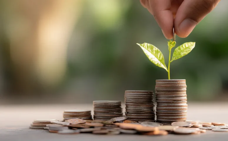 Beginner to Advanced Investing Strategies to Grow Wealth Safely