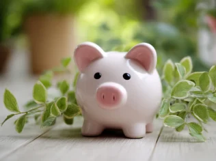 Smart Loans Tips to Borrow Wisely and Avoid Debt Traps Today